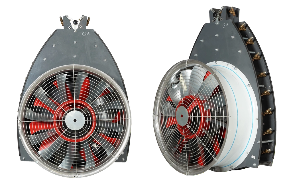 فن کتابی بیضی