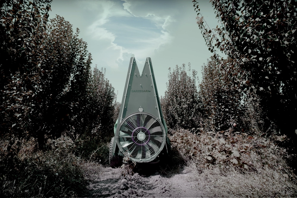 فن کتابی بلند